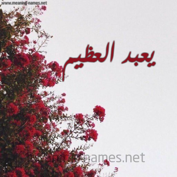 شكل 18 صوره الورد الأحمر للإسم بخط رقعة صورة اسم يعبد العظيم Abdul-Azim
